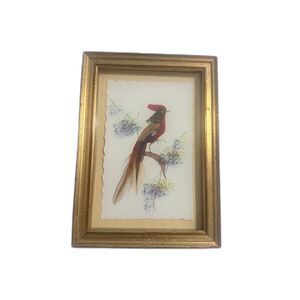 Vintage/Antique Feather Art Collection of 8 Birds – Framed Mixed Media Artwork